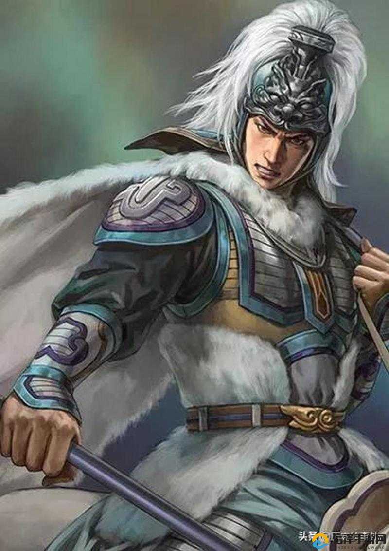 无双大蛇3中真三国无双系列角色马岱玩法,属性搭配及战斗策略详解